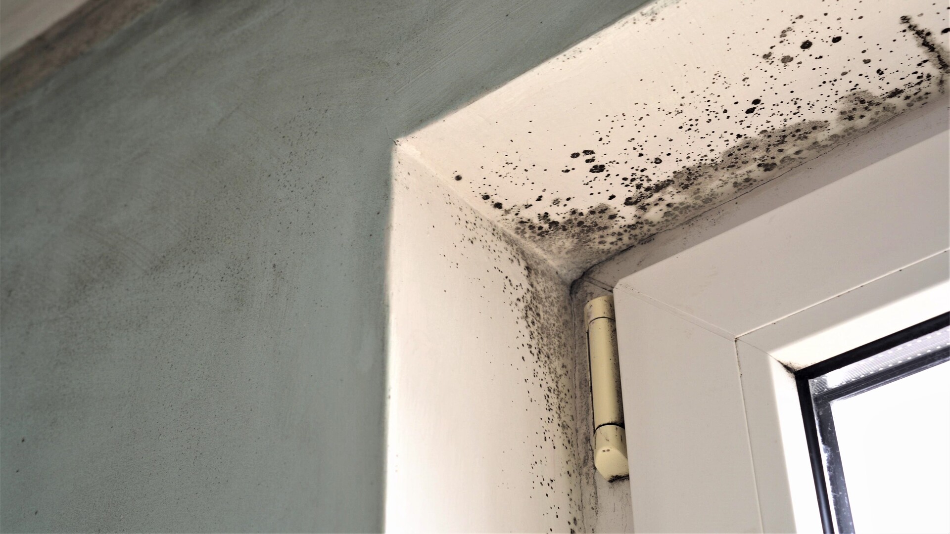 iStock-1194202582.jpg Saint-Gobain Argentina