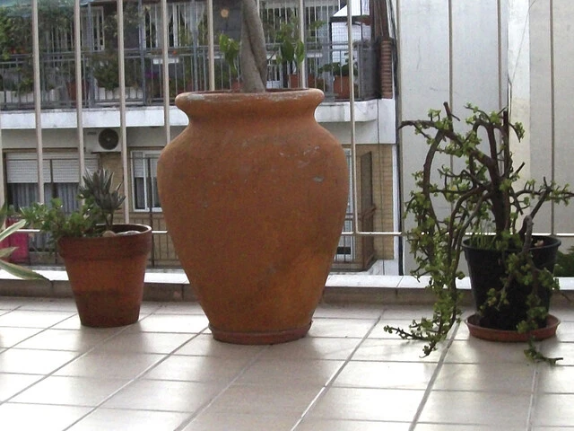 Rejas