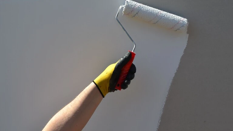 Pinturas y preparación de superficies.