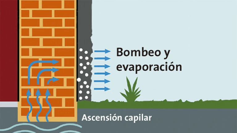 caratula humedad ascendente