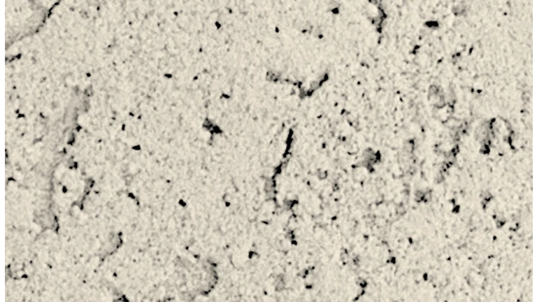 Beige champagnat Pantone 726u