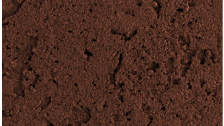 Chocolate Pantone 4695u